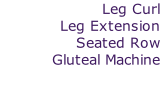 Leg Curl 
Leg Extension 
Seated Row 
Gluteal Machine